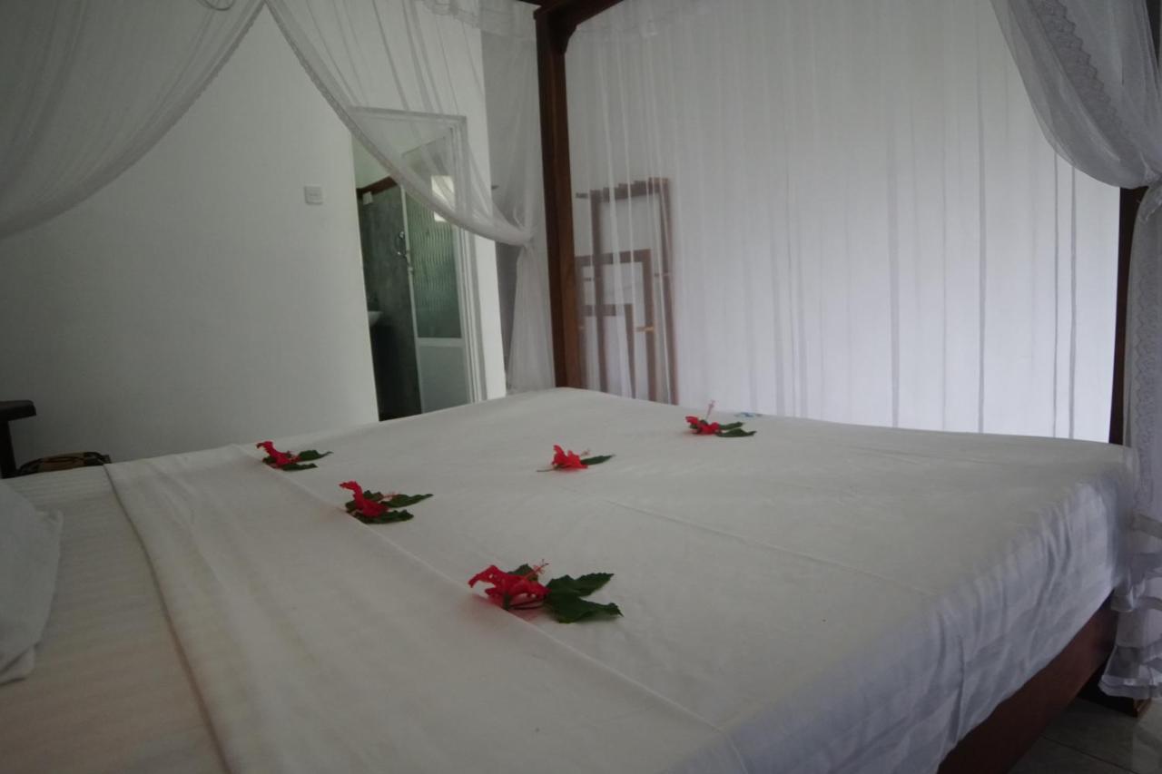 Turtle Bay Beach Resort 미리사 외부 사진